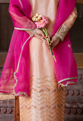 Raagini - Pret
